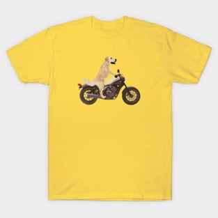 Dog on a Motorcycle Funny T-Shirt